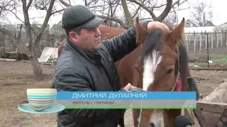 Утренний эфир / Один день из жизни в селе