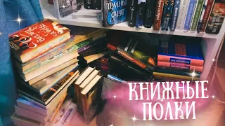 ТУР ПО КНИЖНЫМ ПОЛКАМ  РАЗБИРАЕМ СТЕЛЛАЖ 🔥📚