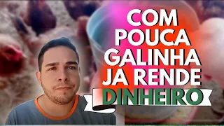 Com 10 GALINHAS VOCÊ JÁ VÊ A diferença  em SEU BOLSO, entenda melhor ASSITINDO esse VIDEO! #granja