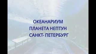 Океанариум Планета Нептун, Санкт-Петербург.