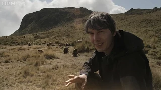 Brian Cox uncovers the gelada baboons - Human Universe: Episode 1 Preview - BBC Two