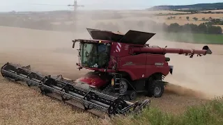Harvest 2022 |wheat| / CASE IH 9250 Axial-Flow / MacDon flexdraper FD140 / Rostěnice, a.s.