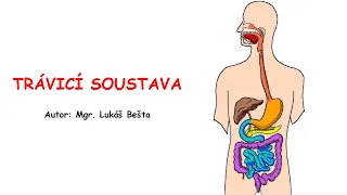 Trávicí soustava - orgány