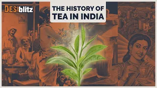 Chai Wallahs to Global Brews | India's Tea Evolution