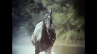 The Adventures of Black Beauty Opening and Closing Theme 1972 - 1974