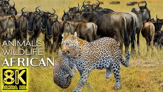 Our Planet 🐆 8K African Wildlife 🐘 Animals Around The Planet 🐅 Beauty Nature with Relaxing Music