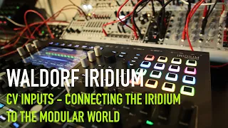 Waldorf Iridium - CV Inputs - Patching with Modular
