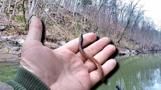 THIS Is How You Catch BIG Fish With Just A Simple Worm