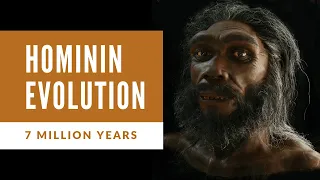 7 Million Years Of Human Evolution