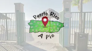 🛑 Playa “Ponce A Pie” 🏖Walking in Puerto Rico🇵🇷