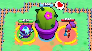 SPIKE vs CACTUS vs SHELLY ! Who Win? Brawl Stars Funny Moments & Wins & Fails & Glitches ep368