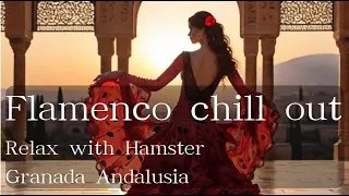 Flamenco Chill Out Music💃  to Work/Study/Relax with Hamster :Lofi Vibes