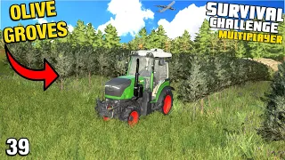 FIRST OLIVE GROVES ARE IN THE GROUND Survival Challenge Multiplayer CO-OP FS22 Ep 39