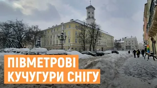 За ніч у Львові вивезли 250 самоскидів снігу