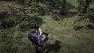 red dead redemption 2 а может не надо отс@сыватъ (ЯД!) у всех на дороге?!