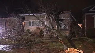 Storm brings tree down on Mt. Greendwood home