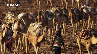 HUMANs Musics   A film by Yann Arthus Bertrand Composed by Armand Amar online video cutter com