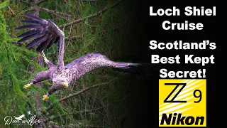 Loch Shiel Cruise, Scotland's Best Kept Secret!