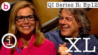 QI XL Full Episode: Random | Series R With Bill Bailey, Daliso Chaponda and Sally Phillips