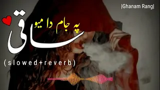 saqi pa jaam da mayo Pashto song (slowed+reverb) by |Ghanam Rang|