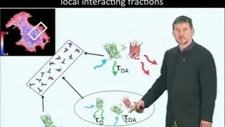 Microscopy: Fluorescence Lifetime Imaging Microscopy (FLIM) (Philippe Bastiaens)