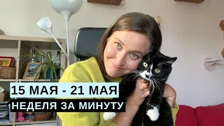 15 МАЯ - 21 МАЯ • НЕДЕЛЯ за МИНУТУ • Таро Прогноз на Неделю • Diva V.S