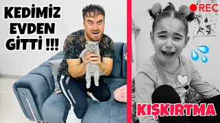 ELİF SİNEM ÇOK AĞLADI !! KEDİMİZ BÜCÜR EVDEN KAÇTI !!! KIŞKIRTMA YAPTIK !!!