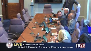 Finance, Diversity, Equity and Inclusion Committee, November 14, 2022