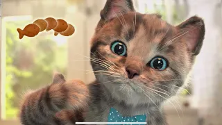 Little Kitten & Friends Adventure - Learn with a cute virtual cat Cutest Cat Best App for Kids #