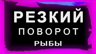 РЫБЫ 2023✦РЕЗКИЙ ПОВОРОТ✦ АПРЕЛЬ ✦ МАЙ ✦ ИЮНЬ ✦ГОРОСКОП ТАРО ПРОГНОЗ - Судьбоносные события