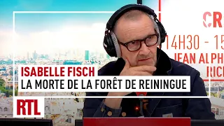 L'heure du Crime : Isabelle Fisch, la morte de la forêt de Reiningue