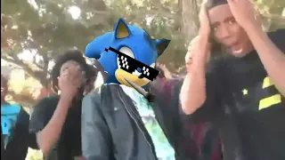 Compilation of Sonic Roasts