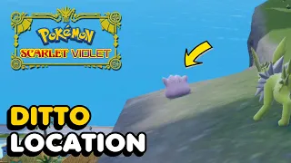 How To Catch Ditto In Pokemon Scarlet And Violet (Trick)