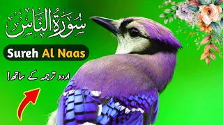 Sureh Al Naas| (Part8)Arabic| With Urdu Translation| Venus_Islam2.0| #islam #viralvideo