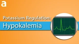 Potassium Regulation: Hypokalemia