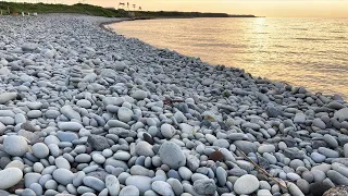 【ASMR】鳴り石浜を歩きながら夕陽を眺める【石の音を聴く】