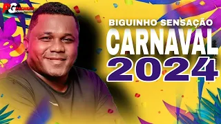 BIGUINHO SENSAÇÃO - SELEÇÃO CARNAVAL REPERTÓRIO NOVO ATUALIZADO 2O24 MÚSICA NOVA