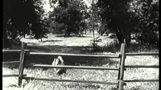 LASSIE opening credits with sponsor