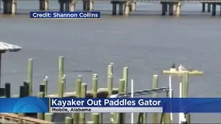 Video: Kayaker Outruns Alligator In Alabama