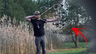 Best Bow For Whitetail Hunting