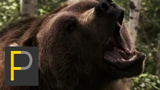 Grizzly Rage Trailer