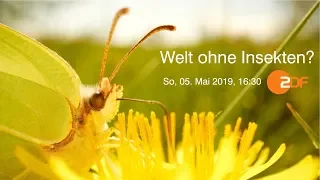 "Welt ohne Insekten" - 05.05.19 um 16:30 Uhr im ZDF