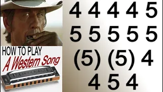 MAN WITH  HARMONICA ( C DIATONIC ), TABS, ARMÓNICA C, BLUES HARP C, GAITA DE BOCA C, MUNDHARMONICA