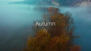 Autumn. Cimematic fly with DJI Mavic 2 pro. Полеты на Мавик 2 про
