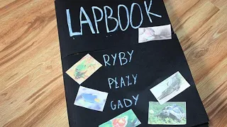 Lapbook - płazy, ryby, gady