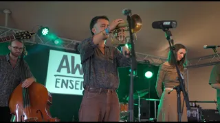 Awen Ensemble - She Moves Through The Fair (Live At Green Man Festival)