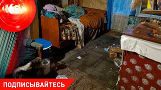 ПОНОЖОВЩИНА между сожителями; поезд сбил мужчину; иностранец обманывал / Криминал 25.04.2024