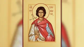 Православный календарь. Святой мученик Трифон Апамейский. 14 февраля 2019