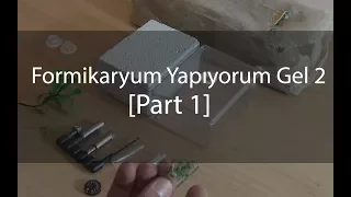 Formikaryum Yapıyorum Gel! - Part 1