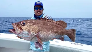 *MASSIVE* Snowy Grouper and GOLDEN Tilefish from the Deep! Catch Clean Cook - BBQ